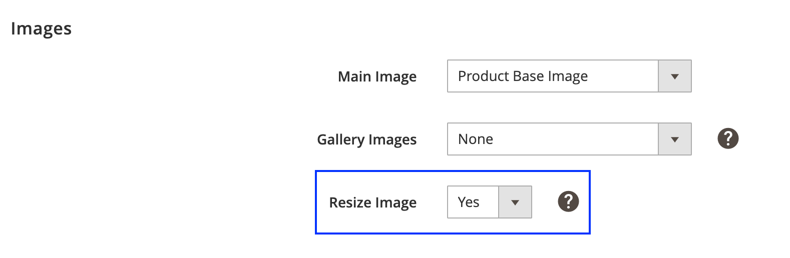 TTS_Resize_Images_option